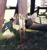 Ujawniona usterka w postaci uszkodzonych elementów drewnianych