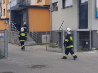 Strażacy ewakuują mieszkańców